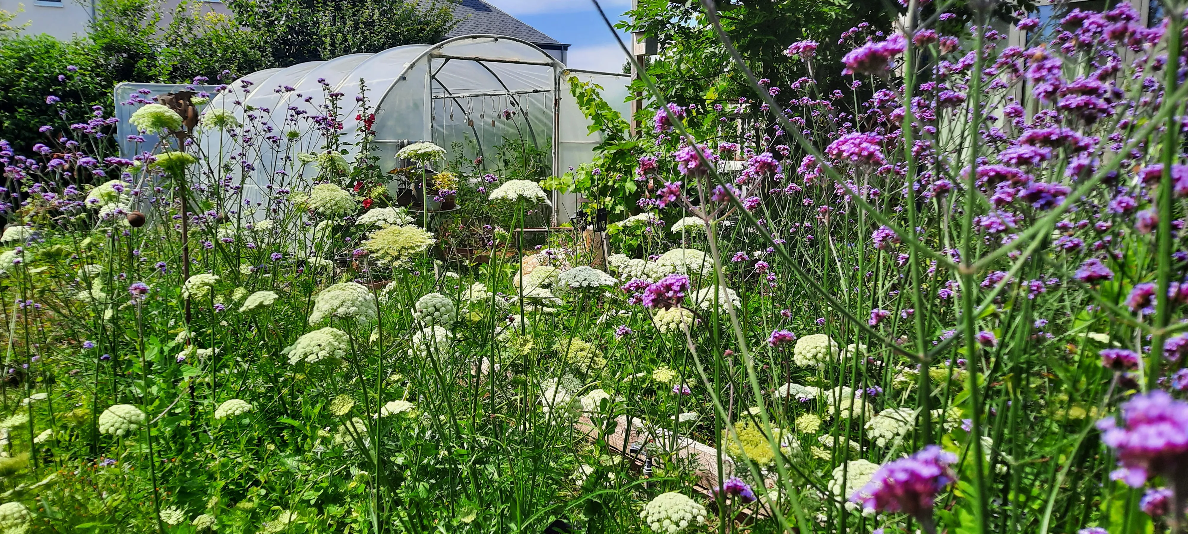 Vue d'ensemble de notre jardin et de sa serre, entourés de fleurs