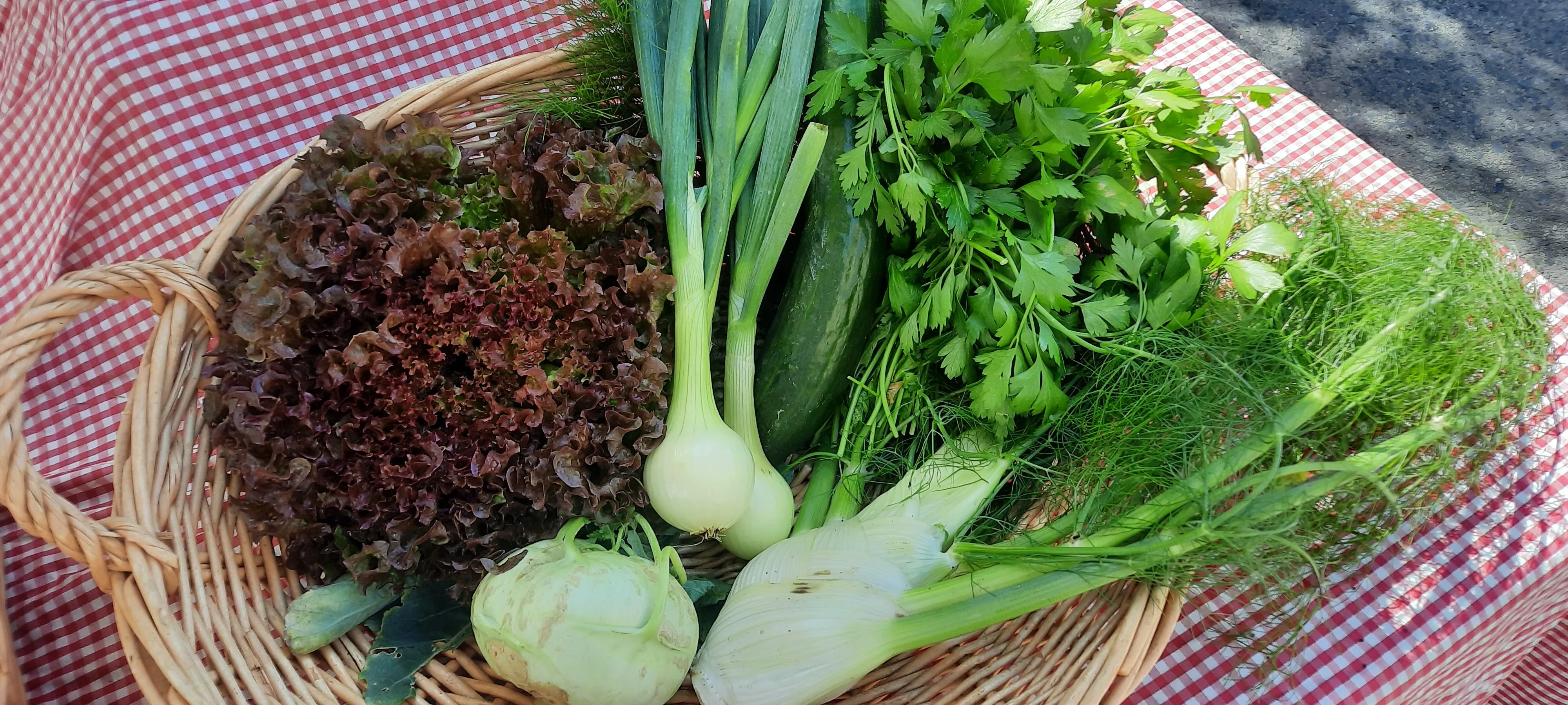 Panier de légumes fraîchement récoltés